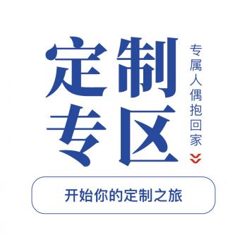 功能定制可选项